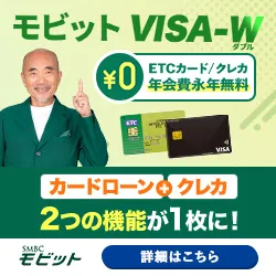 モビットVISA-W