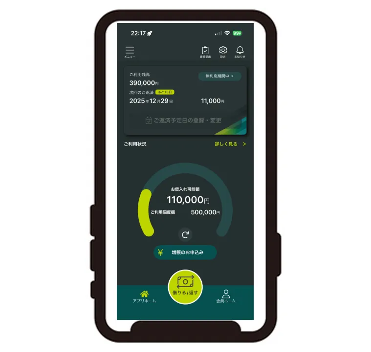 レイクの利用状況