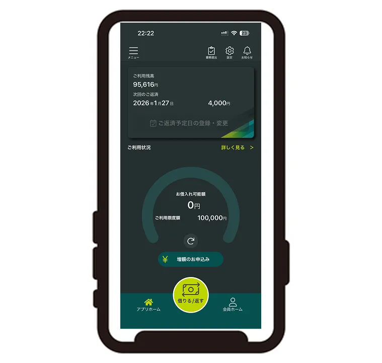 八木さんの利用状況（レイク）