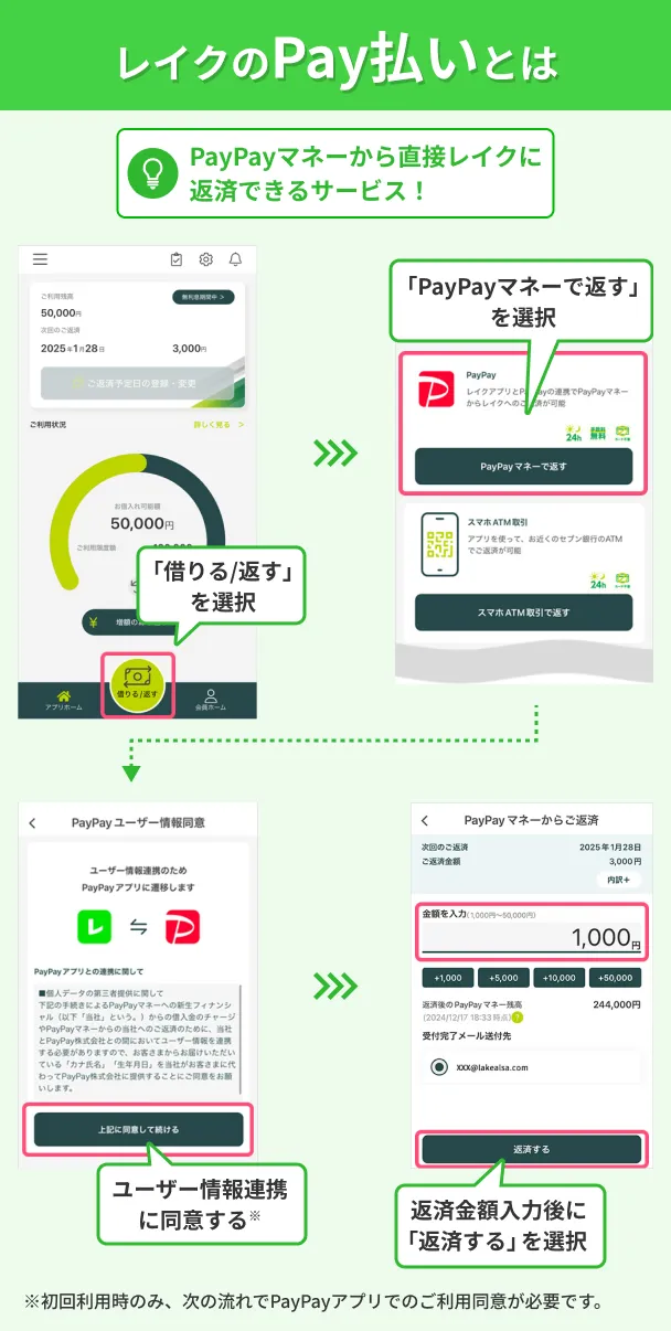 レイクのPay払いの解説