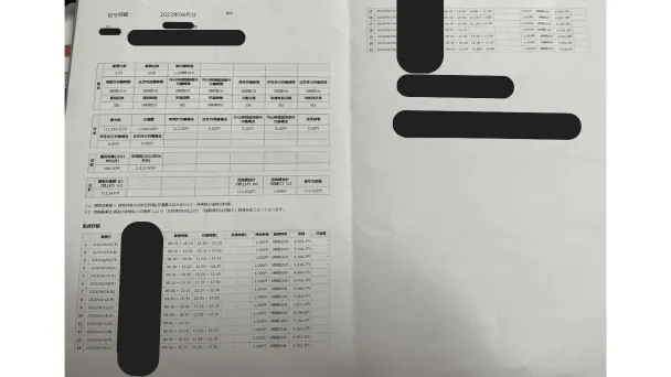 pay-slip