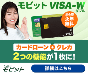 モビットVISA-W